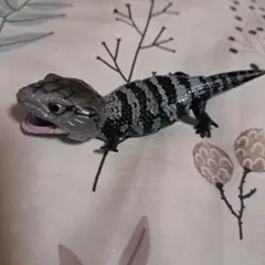 いきもの大図鑑レプティ アオジタトカゲ ガチャガチャ