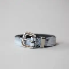 Item thumbnail for item 4dd50229-f771-4298-b2cb-96fd10bfc6d0