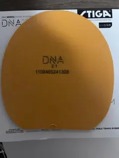 DNA プラチナH
