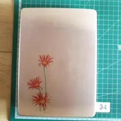 Item thumbnail for item 36dcff3d-010b-4dd7-b90a-9bcec8371601