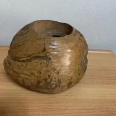 【短期出品】ヤシの実