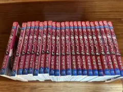 【24時間限定値下げ】カノジョは嘘を愛しすぎてる　青木琴美　全巻セット　22巻