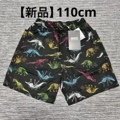 Item thumbnail for item 724a96ab-175d-4402-b1ec-a62d27ae0844