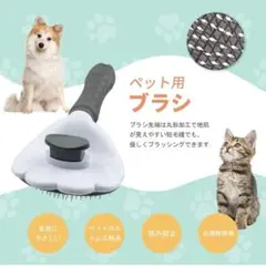 Item thumbnail for item 83e6864d-b5c2-46be-b4f2-63bbcc43e239