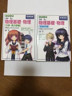 物理基礎・物理 新課程版 セット