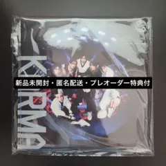 STRAY KIDS KARMA 新品未開封 限定盤