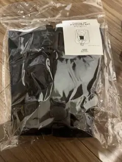 Item thumbnail for item fd3d24a2-e25f-4afb-97ac-33bcf47360d0