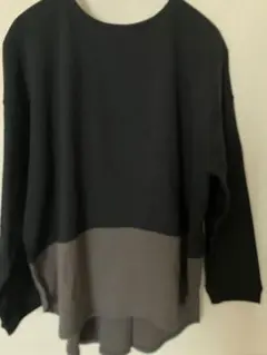 Tシャツ バイカラー