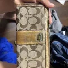 Item thumbnail for item 1d209390-8772-4255-9dce-3346f5cfb7af