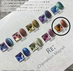 カメレオンマグネットネイル 他2本セット