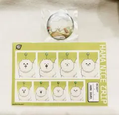 18TRIP エイトリ しゅうまい