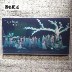 櫻坂46 五月雨よ フォトアルバム