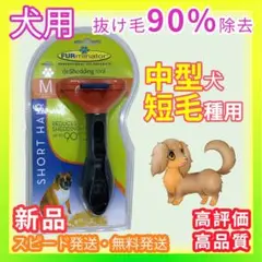 Item thumbnail for item 8deacd4c-5ffe-4acb-a018-76b3d9230335