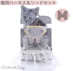 Item thumbnail for item 4a9664dc-980a-4769-b5f1-7f60f44037aa