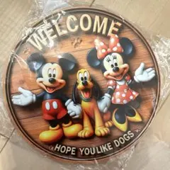 ディズニー　ウェルカムボード