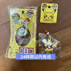 未開封 ポケモン ご当地ミニタオル　ピカチュウ イーブイ ミジュマル ニャース ポケモンご当地 ミニタオル 北海道 ピカチュウ&イーブイ: いそが