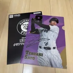 阪神タイガース クリアファイルコレクション
