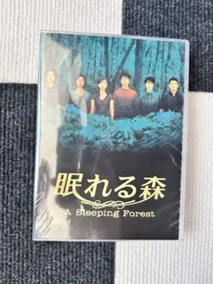 眠れる森 DVD BОX 中山美穂、木村拓哉