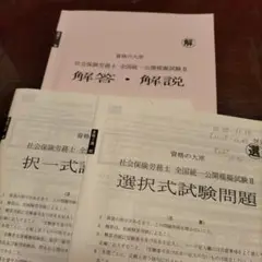 2025年 社会保険労務士 全統模試問題集 II 解答集 選択 択一