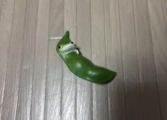 コポー 枝豆