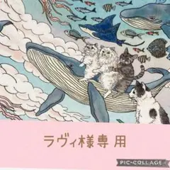 おとぎの国の猫と仲間たちオーダー