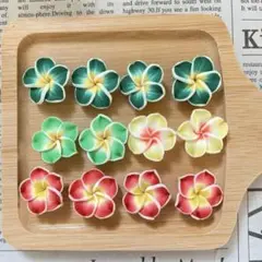 ちょっとB品 プルメリア クレイビーズ フラワーパーツ ハンドメイド資材
