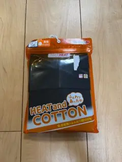 Item thumbnail for item 57d2192d-382b-4da2-a6e9-224bae10e067