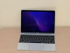 Apple MacBook 2017 corem3 8gb 256gb US