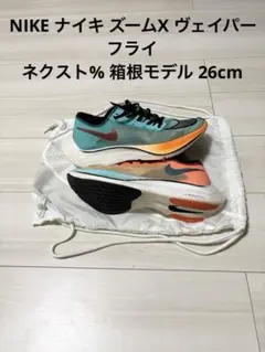 Item thumbnail for item c2db325f-cae0-4695-bd3c-556f8be32ff1