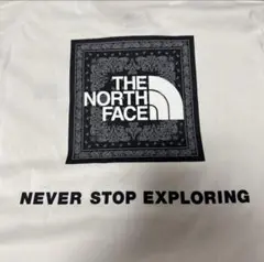 THE NORTH FACE Tシャツ Sサイズ ペイズリー柄