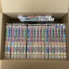 名探偵コナン　特別編　24〜43巻　不揃い(34〜37巻なし)