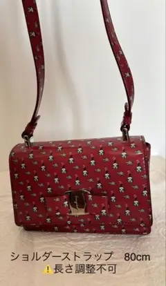 Item thumbnail for item e546e6ac-40f4-47eb-9509-a76031541884