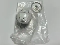 Item thumbnail for item f6a8e7d0-346d-423c-8209-bdb98bb841a6