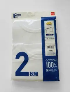 Item thumbnail for item d2de2d07-4e09-40cd-8be9-a99ac6e001b5
