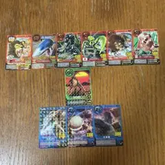 百獣大戦アニマルカイザー　カード10枚