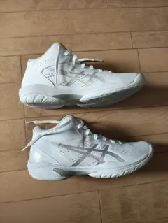 Item thumbnail for item d3578a03-329a-4b60-b3e3-46592e7629a2