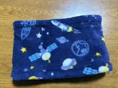 Item thumbnail for item 207b61de-5902-4d06-b63e-132b7d93caf2