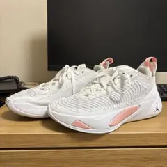 NIKE ジョーダン　ルカ 1 【25.5】