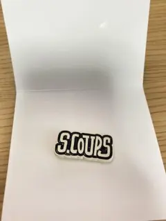 SEVENTEEN HOLIDAY S.COUPS エスクプス ピンバッジ
