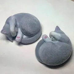グレー 猫 2匹セット ガチャガチャ 灰色 ソックス