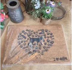 Item thumbnail for item 5a2f47b2-9637-41ff-b4eb-7e3b29e2493d