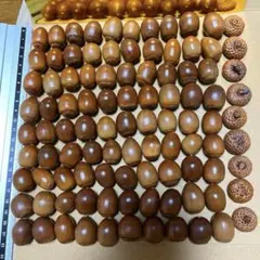 どんぐり90個と帽子セット　　　Zas-3