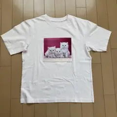 UNIQLO キャットフォトグラフ　UT