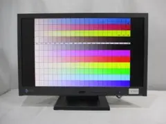 EIZO FlexScan EV2116W 中古