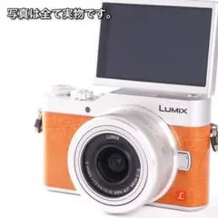 Wi-Fiでスマホへ転送⭐️人気のミラーレス⭐️パナソニックLUMIX GF9