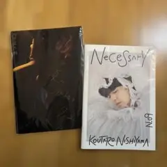 Item thumbnail for item 1ed2d817-200b-43c0-bbd9-ef3a955c256a