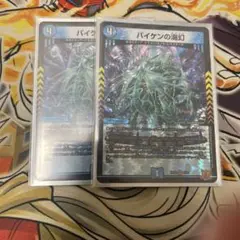 バイケンの海幻 2枚