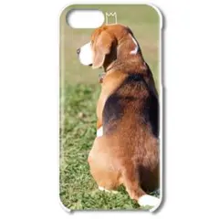 Item thumbnail for item 53120624-3cdd-4672-a1e4-e98c8f9defd1