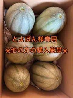 最終値引き　北海道産　あじうり　マクワウリ B品　箱抜き10キロ 残りわずか 大特価 北海道産 あじうり マクワウリ B品 箱抜き10