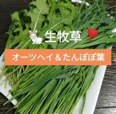 Item thumbnail for item 45dc79e6-3372-4843-adfd-9c9b802547a3